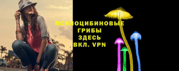 эйфоретик Алексин