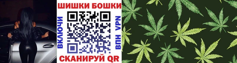 Каннабис индика  Гаврилов Посад 